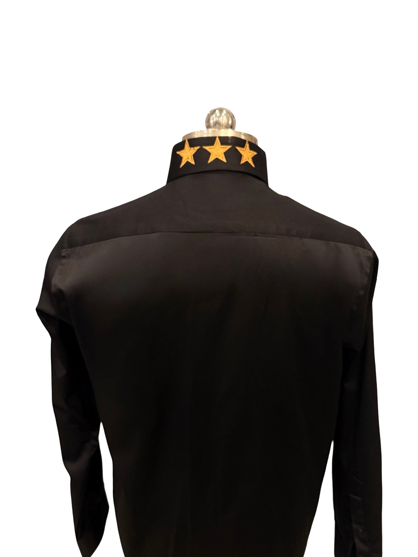 Starry Lion Shirt